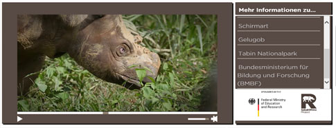 Interactive Film Player, Sabah Rhino